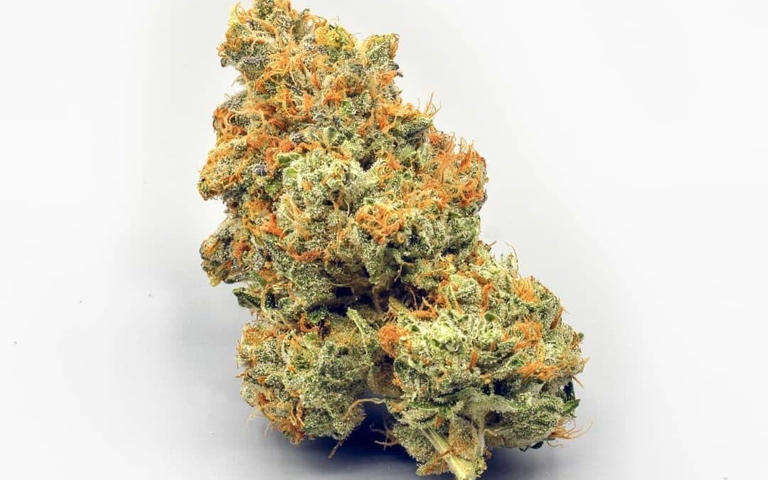 CBD Blüten kaufen – Hol dir die Kraft der Natur, ohne Kompromisse
