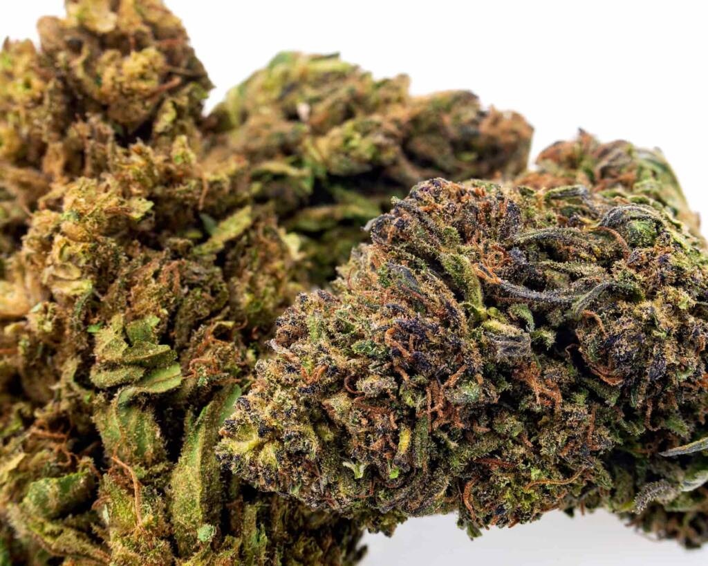 Die besten Ergebnisse sichern – Weed Samen kaufen für höchste Erträge