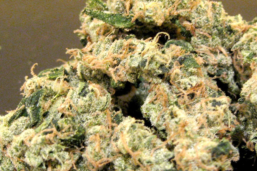 Warum Kaufen THCA die beste Wahl ist: Legales Premium-Cannabis online entdecken mit gratis Lieferung