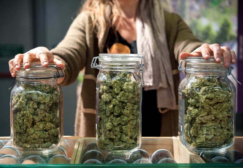 Ihr Wegweiser zu den Top Cannabis Clubs in Spanien: Mitglied werden leicht gemacht